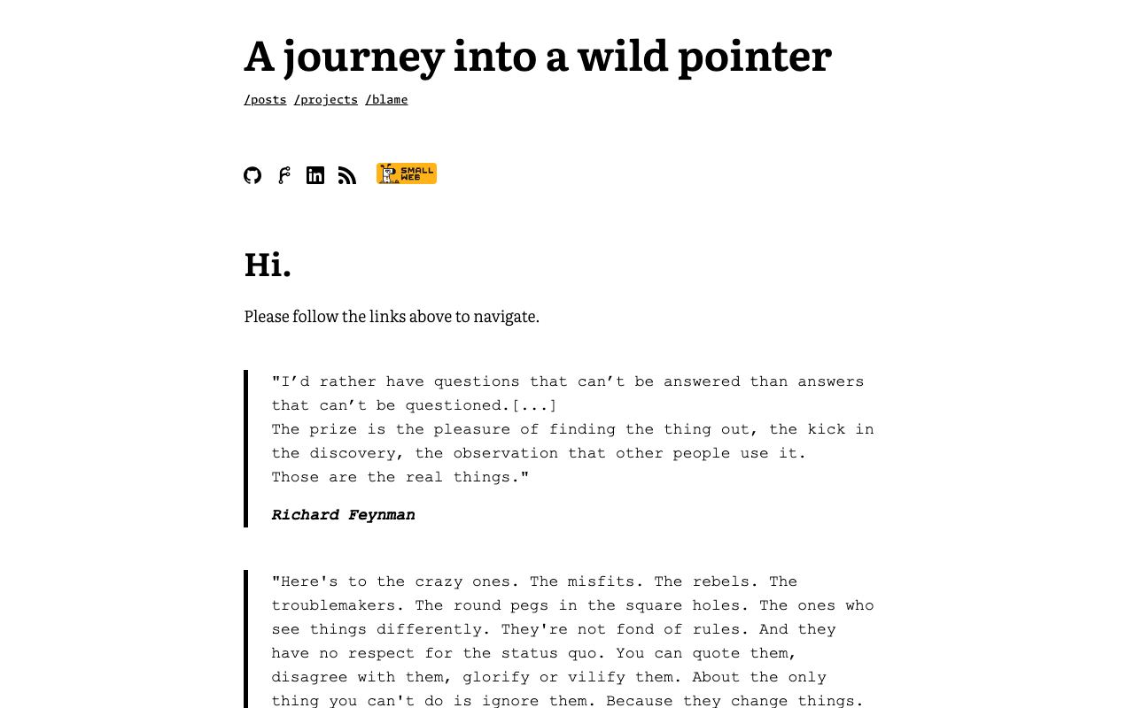 A journey into a wild pointer