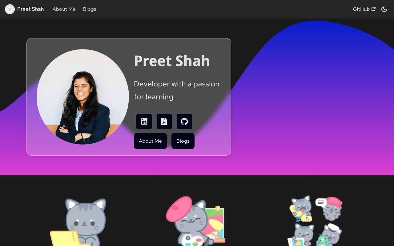 Software Developer